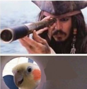 Create meme: johnny Depp Jack Sparrow hot, captain Jack Sparrow with a telescope, Jack Sparrow with a telescope