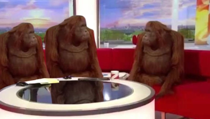 Создать мем: обезьяны за столом мем, мем с 3 обезьянами за столом, орангутан