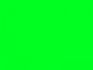 Create meme: green solid, light green background, the background is green