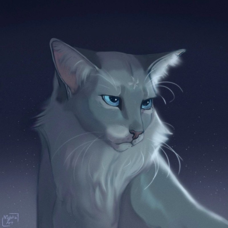 Create meme: grey cat art, warriors cats, beautiful warrior cats