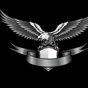Создать мем: eagle logo, логотип орла, эмблема орла