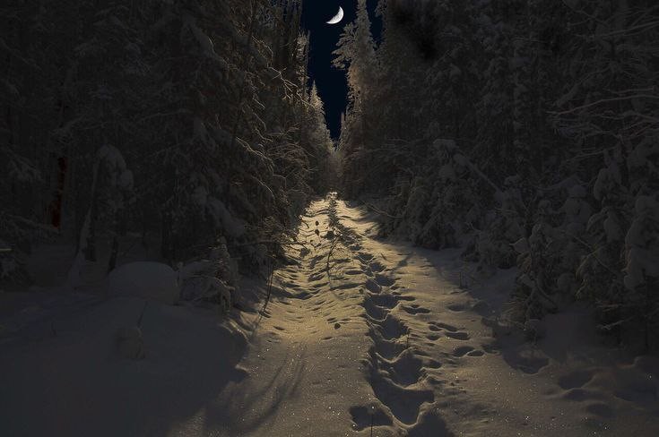 Создать мем: в лесу ночью, зимняя дорога, дорога в лесу ночью