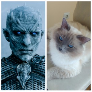 Создать мем: белые ходоки, white walker, king of the night