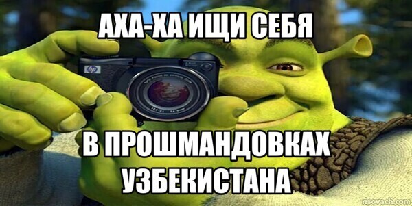 Create meme: Shrek the camera original, Shrek with a camera meme, Shrek with camera meme