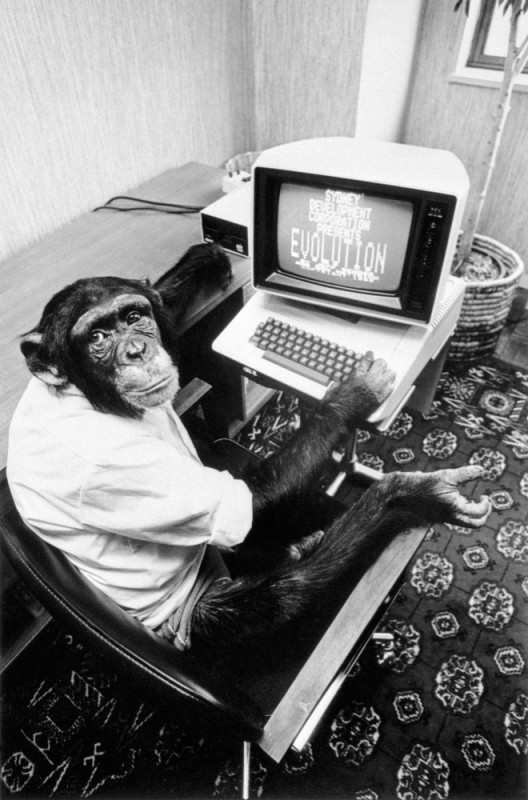 Create meme: apes , chimpanzee, monkey 