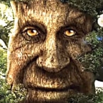 Create meme: a wise tree with a face, wise tree, wise mystical tree