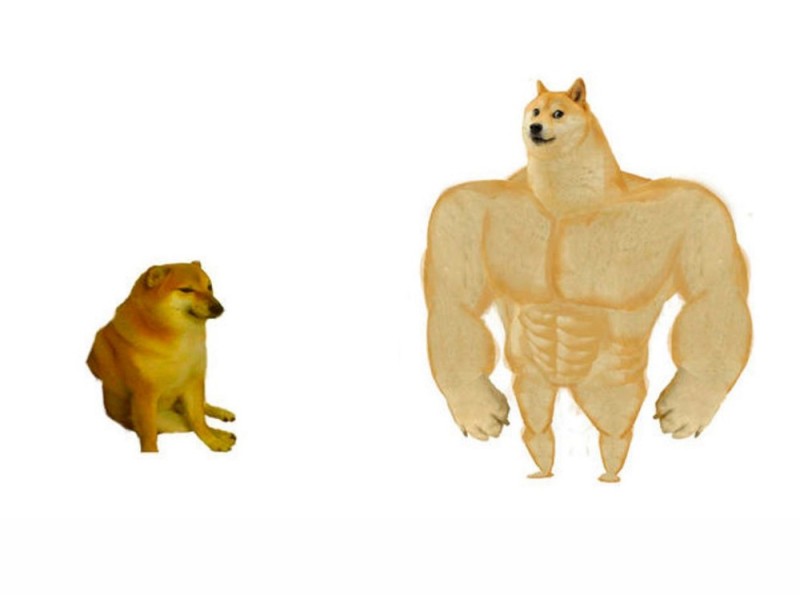 Create meme: doge is a jock, the dog is a jock meme, the pumped-up dog from memes