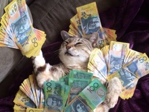 Создать мем: котик с деньгами, денежный котенок, кот с деньгами