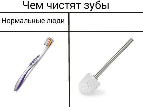 Create meme: toilet brush fixsen kvadro fx-61313, Brush your teeth meme, toilet brush