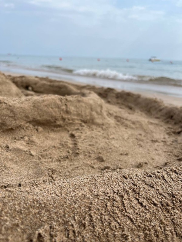 Создать мем: пляж, песок, морской песок