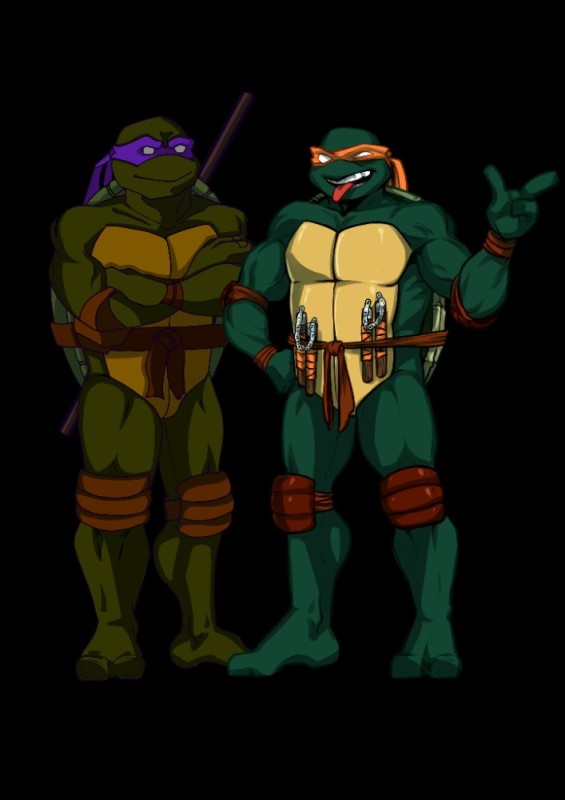 Create meme: tmnt , teenage mutant Ninja Turtles 2003, characters ninja turtles