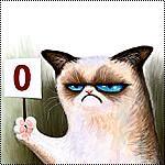 Создать мем: угрюмый кот с табличкой, угрюмый кот, Grumpy Cat