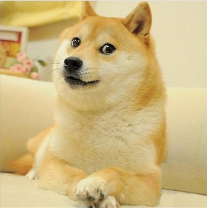 Create meme: shiba inu meme, shiba inu meme, shiba inu 