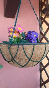 Создать мем: подвесные кашпо с кокосовым волокном, подвесное кашпо 15, подвесные кашпо для цветов
