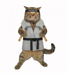 Create meme: cat, cat, cat karate