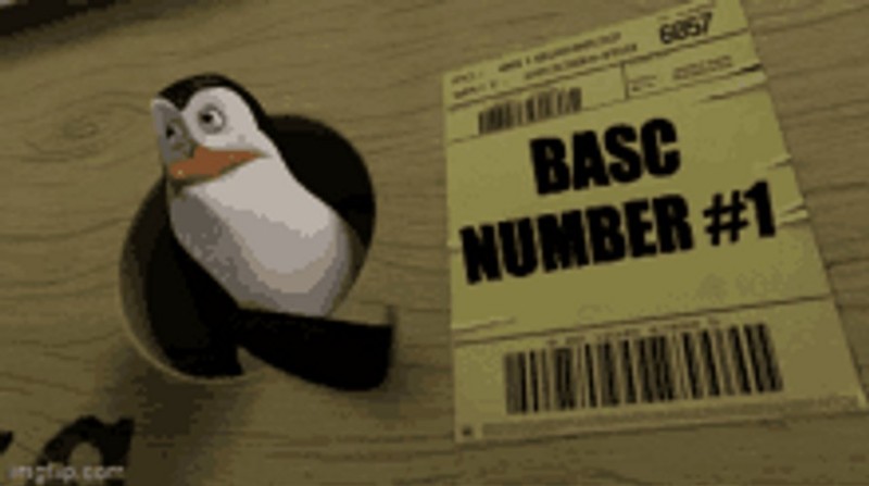 Create meme: penguin Kowalski, the Madagascar penguins, penguin 