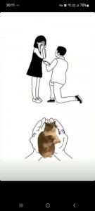 Создать мем: marry me, иллюстрация кошка, добрые мемы