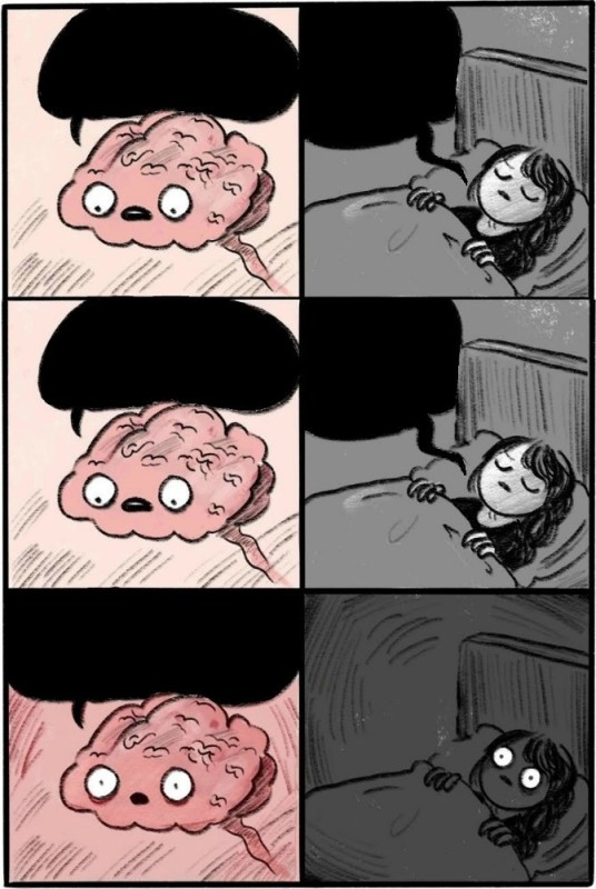 Create meme: memes about sleep, comics memes, brain at night meme