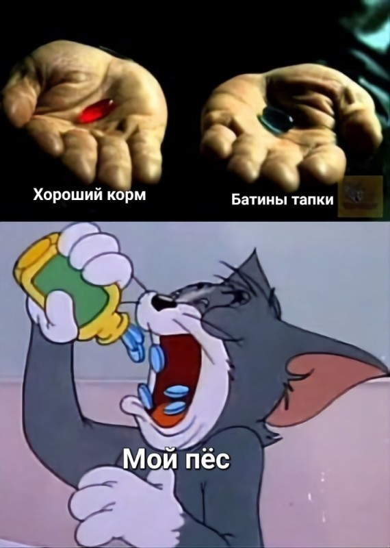 Create meme: Tom and Jerry memes, Jerry from Tom and Jerry, meme of Tom and Jerry 