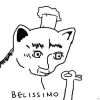 Create meme: meme cat, Belissimo meme, cat Belissimo