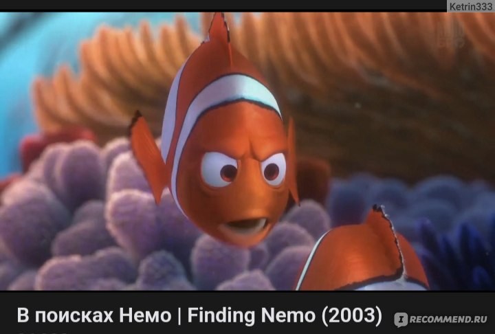 Create meme: in search of nemo, Marlin is nemo's father, In search of dory