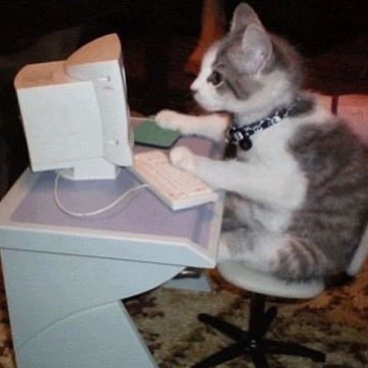 Create meme: cat at the computer, cat computer, a cat with a computer