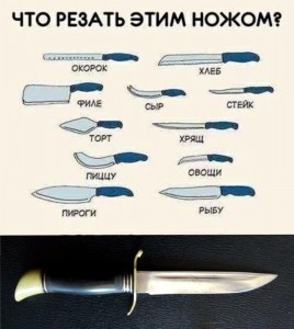 Create meme: what to cut with this knife