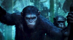 Create meme: monkey, ape, planet of the apes revolution