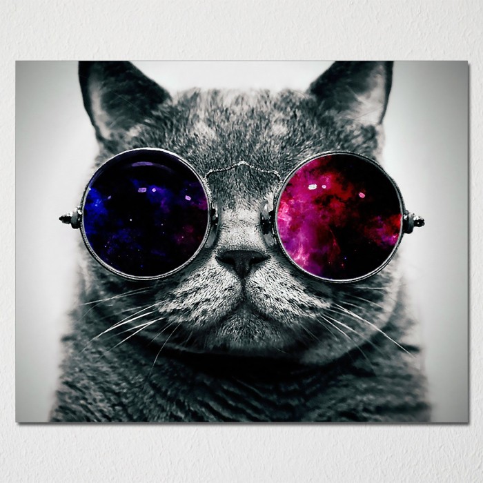 Create meme: cat in round glasses, cat glasses