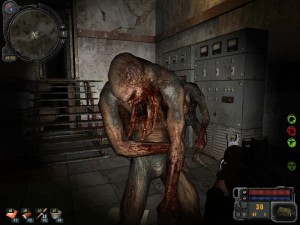 Create meme: Stalker call of Pripyat bloodsucker black, photo bloodsucker, Stalker mutants bloodsucker