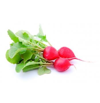 Create meme: radishes , red radish 500g, radish on a white background