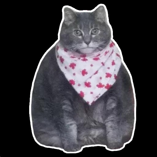 Создать мем: толстый кот с платком, телеграм стикеры, мем толстый кот в слюнявчике