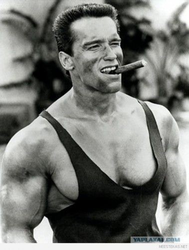 Create meme: Arnold Schwarzenegger with a cigar , Schwarzenegger with a cigar, Arnold Schwarzenegger 