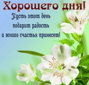 Create meme: flowers, cards good day, postcard have a nice day