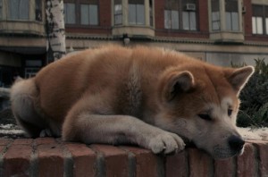 Создать мем: советская собака хатико, хатико малыш, грустная собака хатико