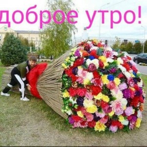 Создать мем: цветы, цветочная, огромный букет цветов рекорд