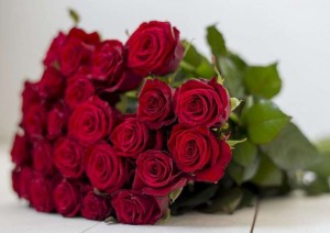 Создать мем: роза эксплорер 51шт, букет роз, букет красных роз