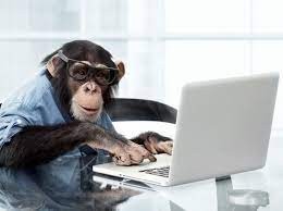 Create meme: monkey in the office, monkey behind a computer, monkey smart