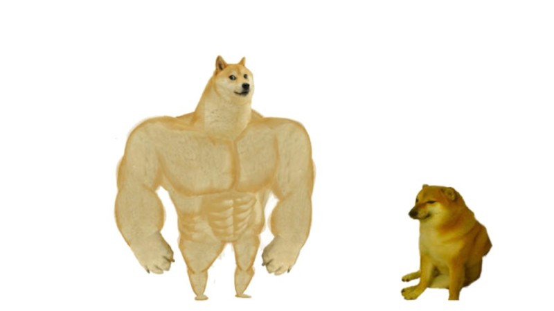 Create meme: shiba inu meme jock, inflated dog meme, the dog is a jock meme