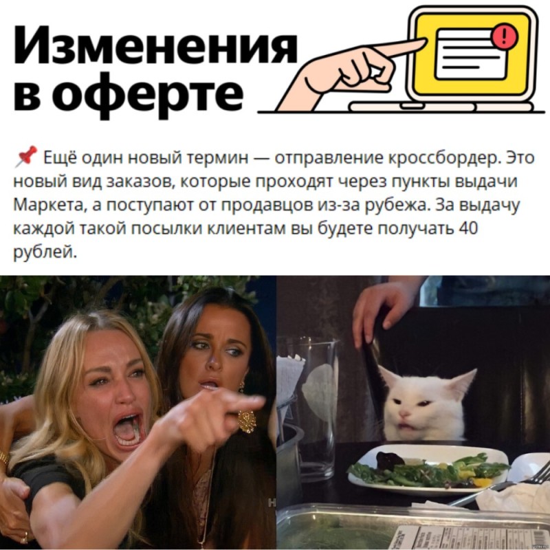 Создать мем: мем с девушкой и котом, кот мем, мем женщина орет на кота