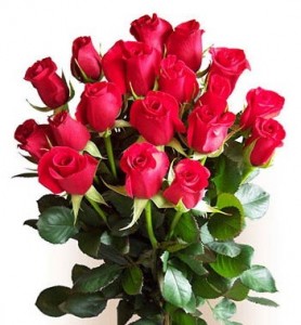 Create meme: a bouquet of red roses, Flowers, flowers
