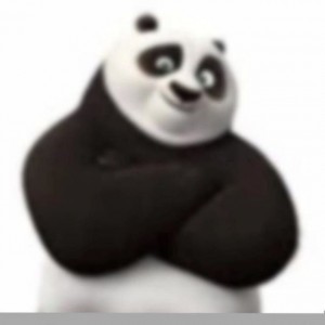 Create meme: kung fu Panda., kung fu