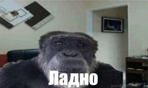 Создать мем: мемы, обезьяна, абоба мем с обезьяной