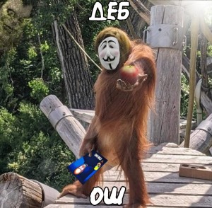 Создать мем: monkey funny, животные обезьяны, животные
