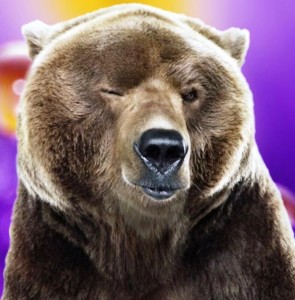 Create meme: bears 2, grizzly bear, funny pictures of bears