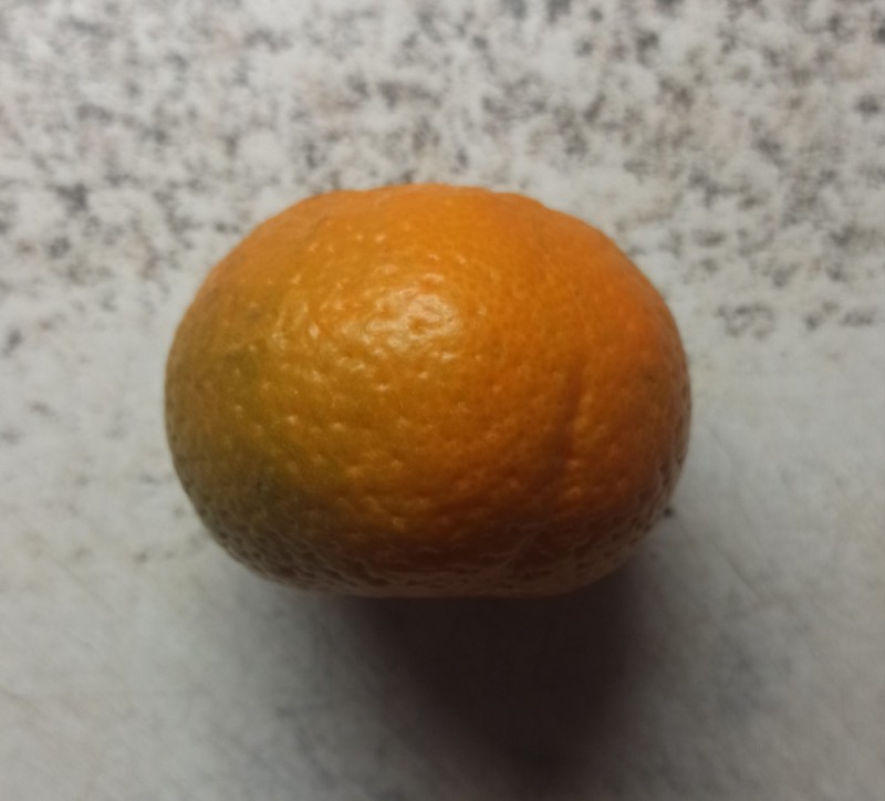 Create meme: fruit, orange fruit, orange navelin