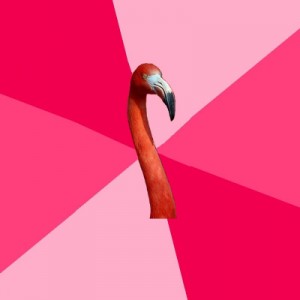 Создать мем: fic, fuck yeah, flamingo