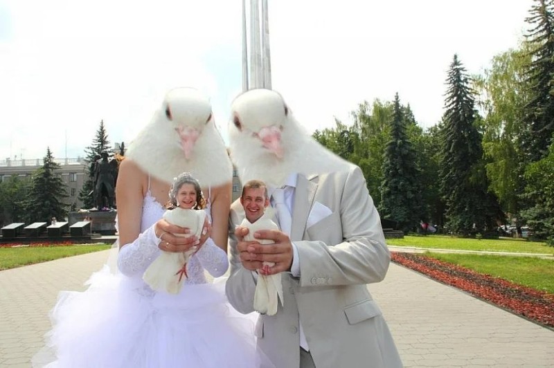 Создать мем: свадебные голуби, свадьба смешная, свадебный фотошоп