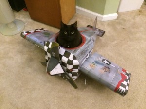 Создать мем: картонный самолет с котом, кот истребитель, кошка в самолете
