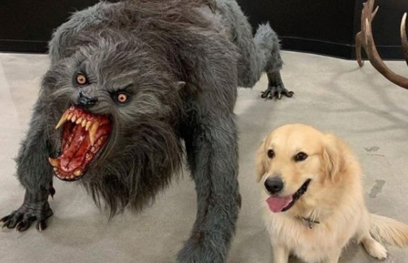 Create meme: dog and monster meme, the dog and the werewolf meme, the dog is a werewolf